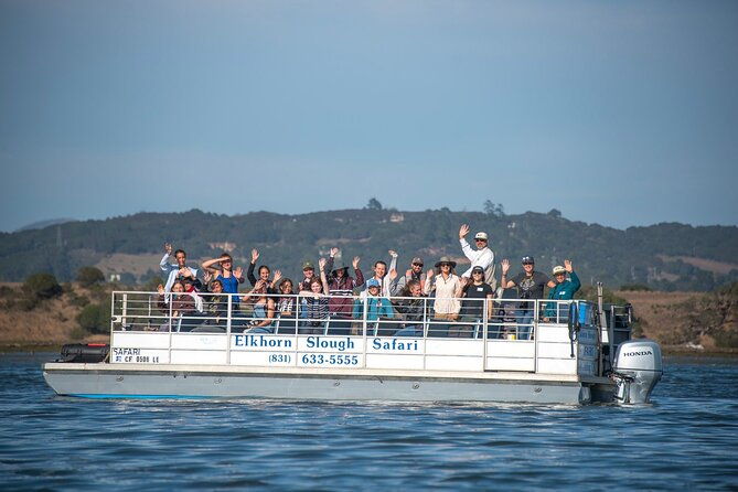 wildlife-safari-boat-tour-in-scenic-monterey-bay-wetland-2
