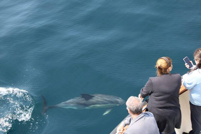 wildlife-tour-3
