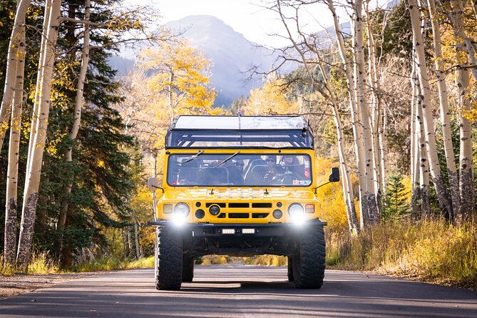 wildside-4x4s-winter-wonderland-sledding-tour