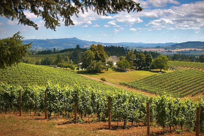 willamette-valley-wine-tasting-tour-from-portland