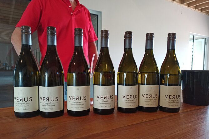 wine-and-culinary-adventure-in-jeruzalem-full-day-tour-from-ljubljana-or-ptuj