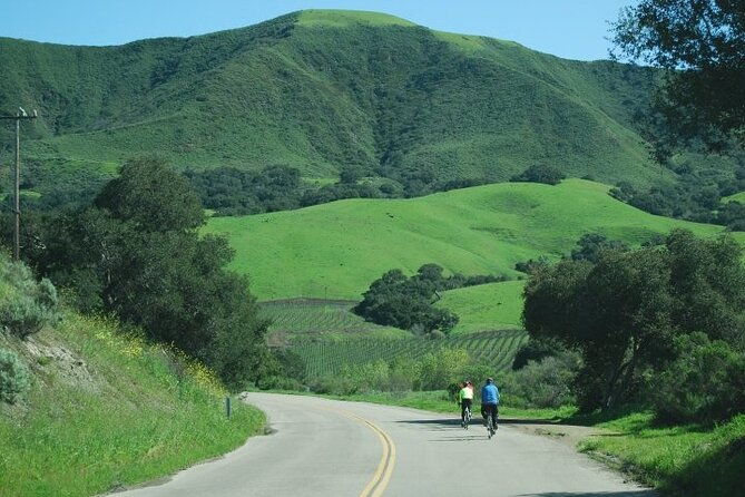 wine-country-half-day-bike-tour-from-solvang-w-o-lunch