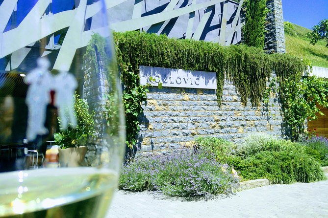 wine-more-tour-private-guided-wine-tour-from-porec-umag-istria