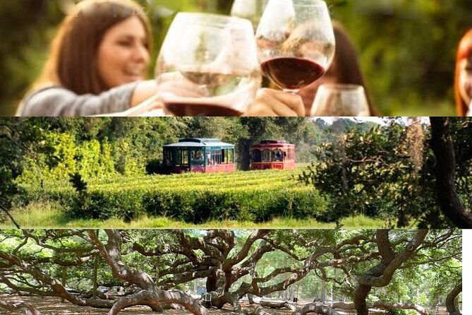 wine-sippin-tea-drinkin-tree-huggin-lowcountry-adventure