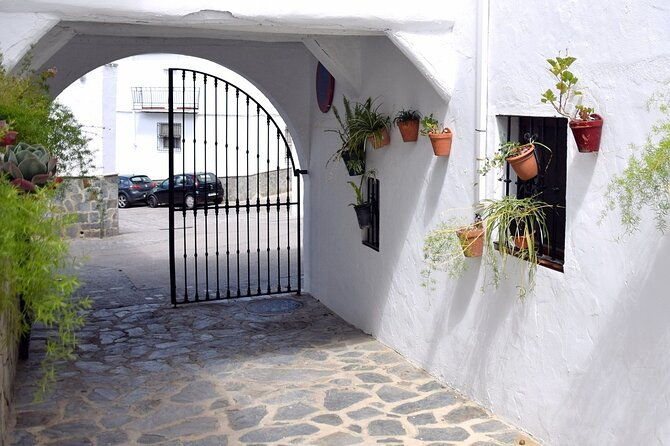 wine-tapas-tour-by-electric-bike-e-bike-including-ronda-pickup-half-day