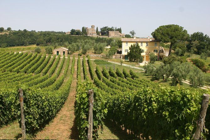 wine-tasting-and-winery-tour