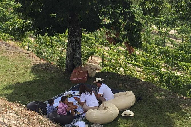 wine-tasting-lunch-quinta-de-santa-cristina-vinho-verde