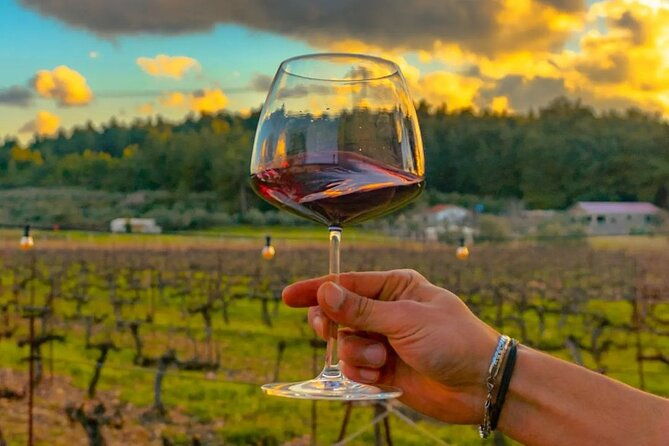 wine-tasting-tour-at-two-wineries-in-urla-turkey