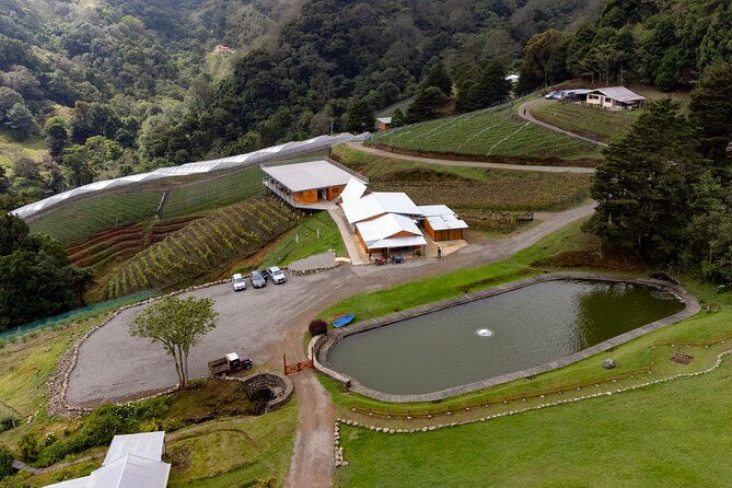 wine-tour-and-tasting