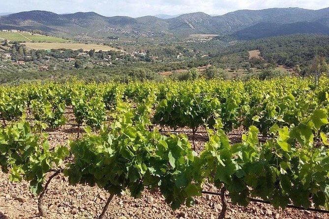 wine-tour-aroud-vineyards-of-cagliari-2