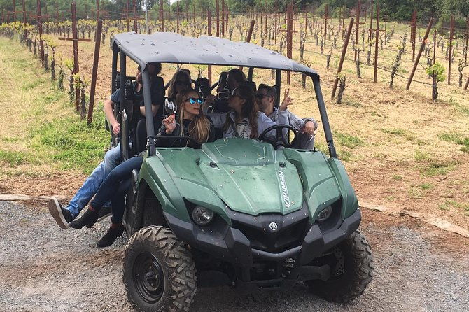 wine-tour-enjoy-a-wonderful-day-in-napa-or-sonoma-wine-country-private-driver