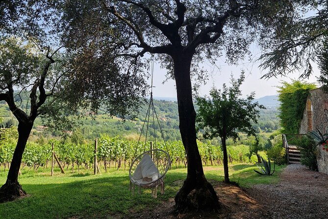 wine-tour-in-the-countryside-of-lucca-with-lunch-with-minivan