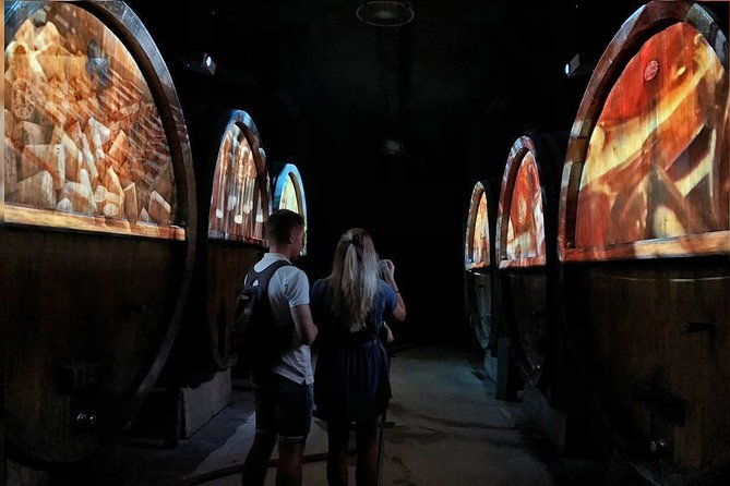 wine-tour-tasting-and-alsatian-meal-100-immersive-experience