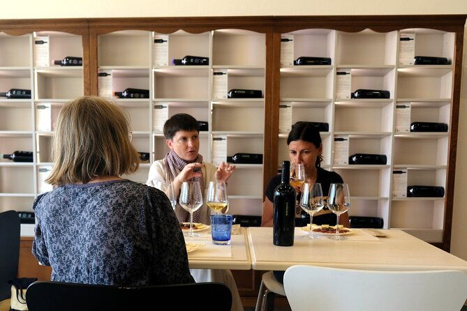 wine-tour-with-sommelier-in-a-winery-near-cagliari