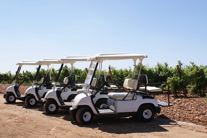wine-tourism-wine-tasting