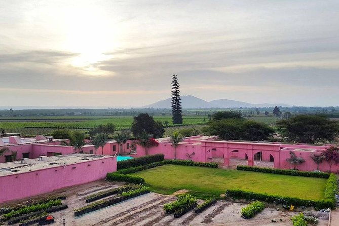 winery-and-pisco-distillery-tour