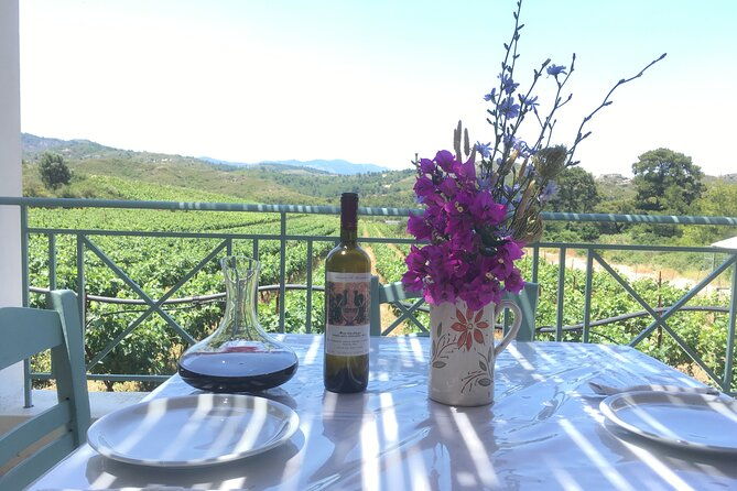 winery-tour-tasting-and-cooking-with-the-winemaker-in-rhodes