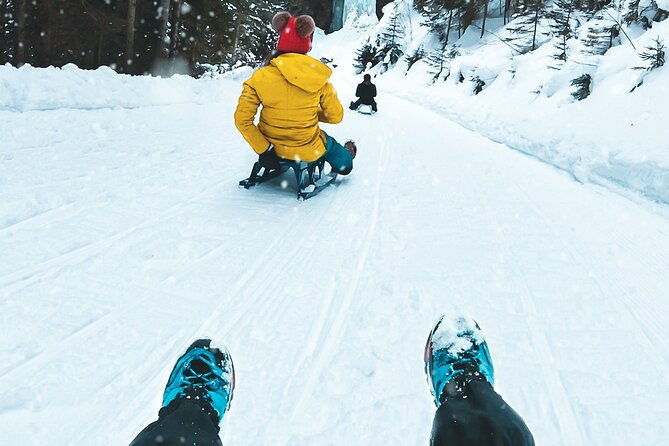 winter-alpine-adventure