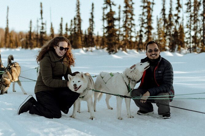 winter-dog-sled-tour-day-or-night
