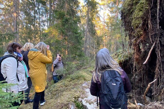wolf-and-wildlife-tracking-in-sweden