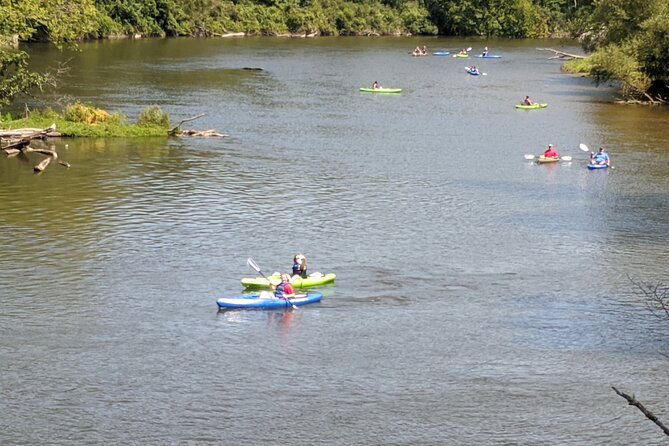 wood-wetlands-river-trip