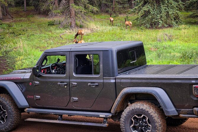 woodland-park-4-hour-self-guided-jeep-rocky-mountain-scenic-tour