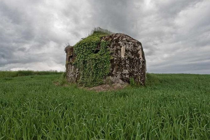 world-war-i-tour-of-northern-france-the-argonne-forest