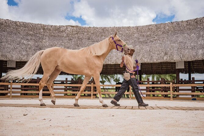 xploration-animal-encounters-half-day-tour-from-punta-cana
