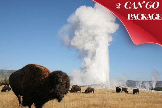 yellowstone-grand-teton-national-parks-small-group-4-day-tour