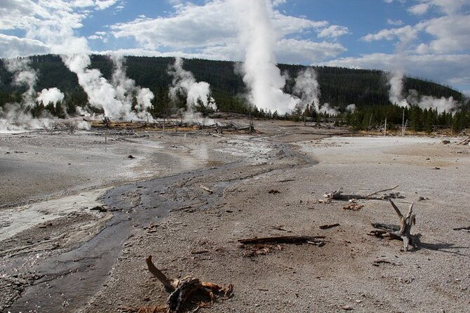 yellowstone-lower-loop-vip-full-day-private-tour-with-lunch-3