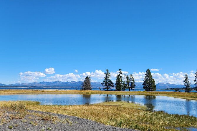 yellowstone-wildlife-tour