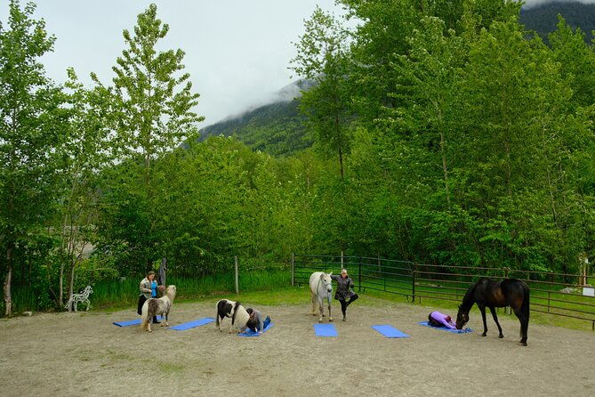 yoga-with-horses