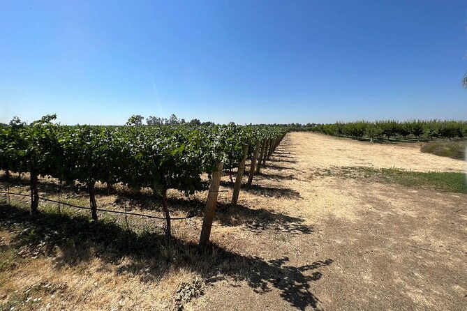 yolo-county-explorer-culinary-cultural-audio-tour