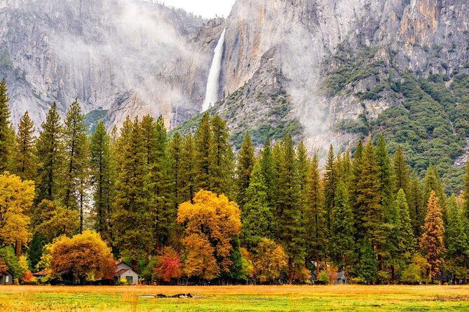 yosemite-national-park-and-giant-sequoias-tour-from-san-jose-2