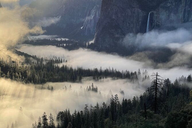 yosemite-winter-highlights-small-group-tour