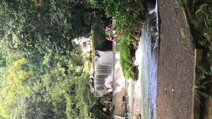 ys-falls-black-river-safari-floyds-pelican-bar