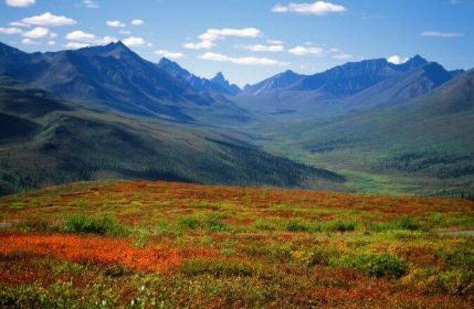 yukon-extended-summit-drive-tour-from-skagway