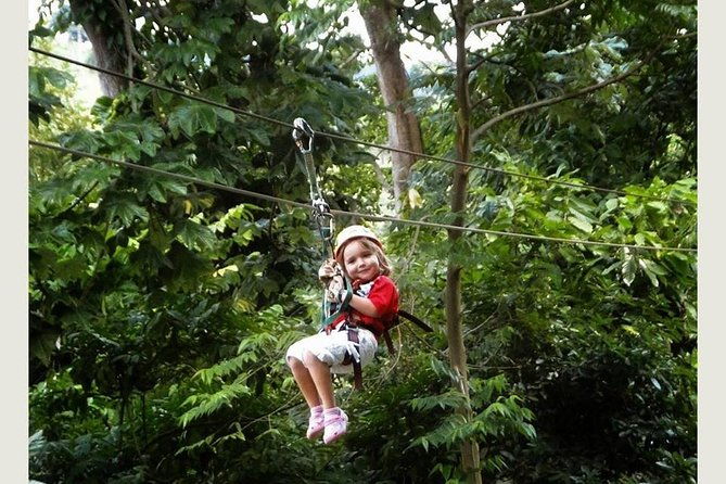 zip-line-half-day-adventure