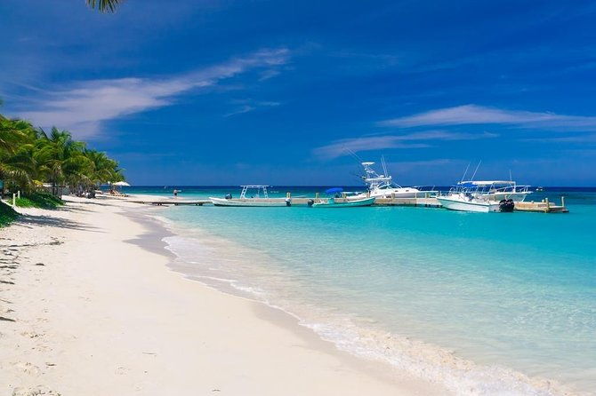 zipline-adventure-animal-park-island-tour-and-beach-break