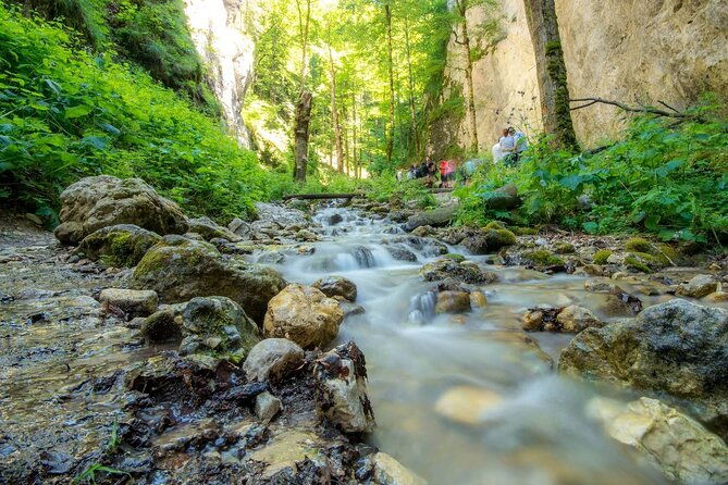 zipline-hiking-and-canyon-crossing-expedition