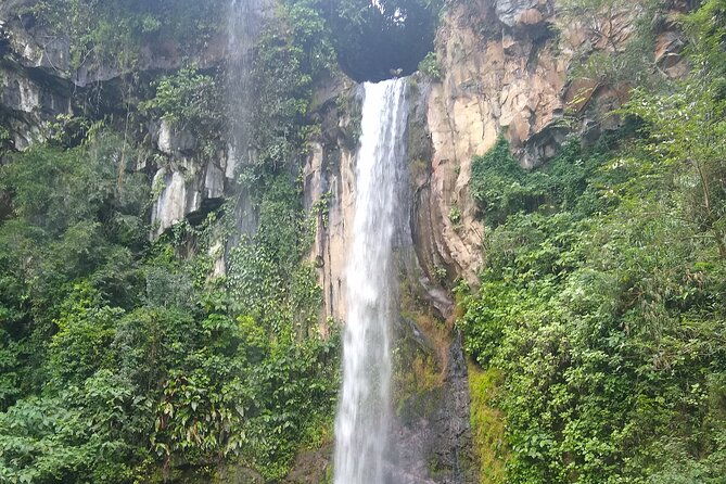 ziplinewaterslidehorsesmudbathhotspringssugarcanewaterfall