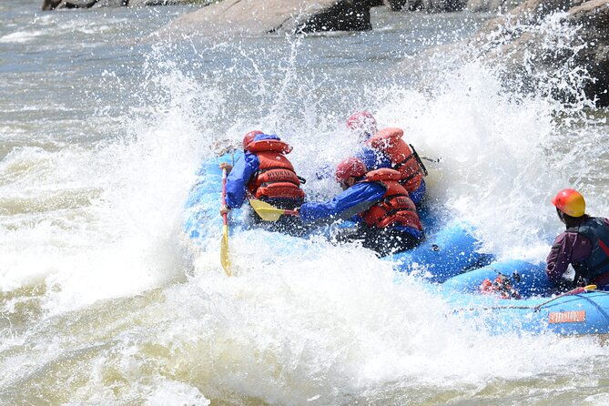 1-day-arkansas-river-bighorn-sheep-canyon-trip