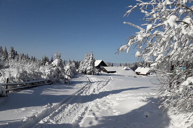 1-day-private-snowshoe-hike-in-the-gorce-mountains-near-krakow