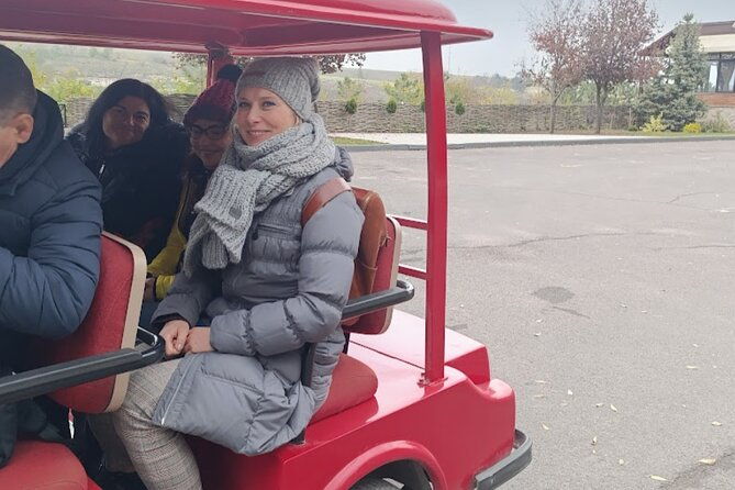 1-daychisinau-sightseeing-tour-cricova-cellar-wine-tasting