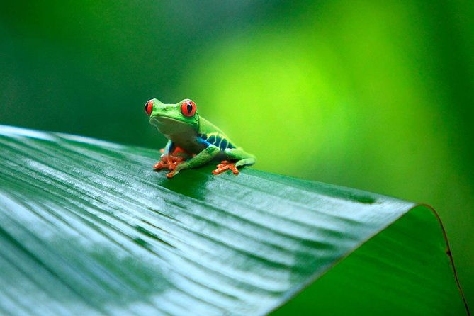 13-days-fly-drive-touring-costa-rica