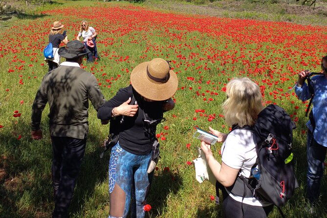 1-day-pilgrimage-experience-to-fatima