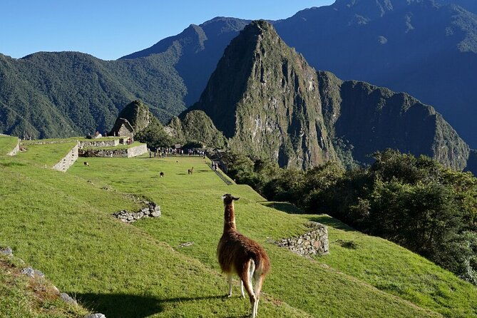 1-day-tour-to-machu-picchu-by-train-group-service