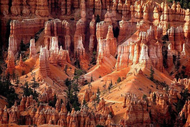 1-day-zion-bryce-canyon-national-park-bus-tour