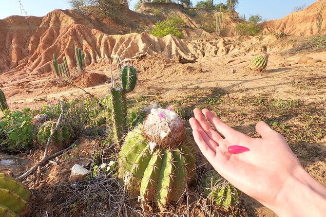 2-day-tour-in-the-tatacoa-desert-local-experience