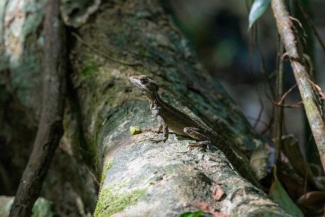 2-days-1-night-in-corcovado-sirena-from-puerto-jimenez